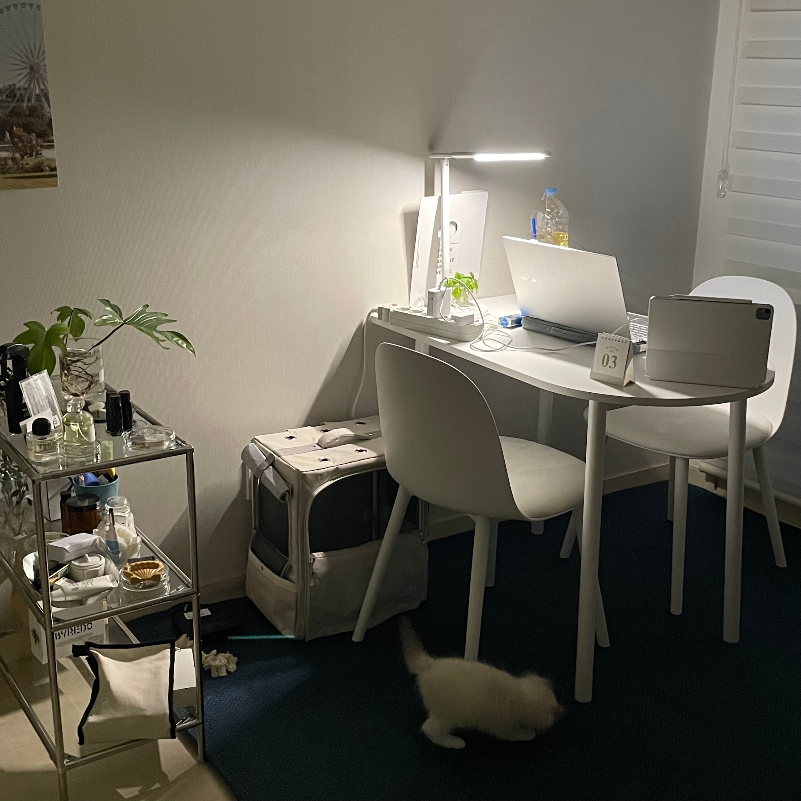 Soft Curve Dining Chair user photo