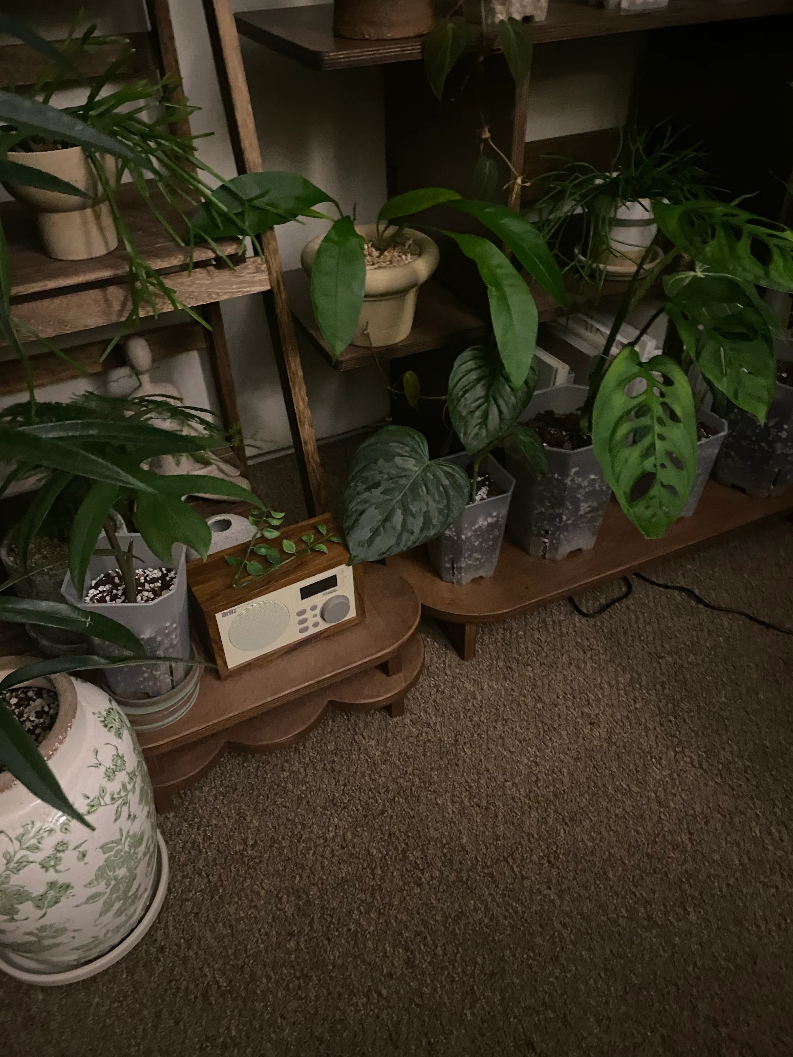 Wooden Peapod Plant Stand user photo