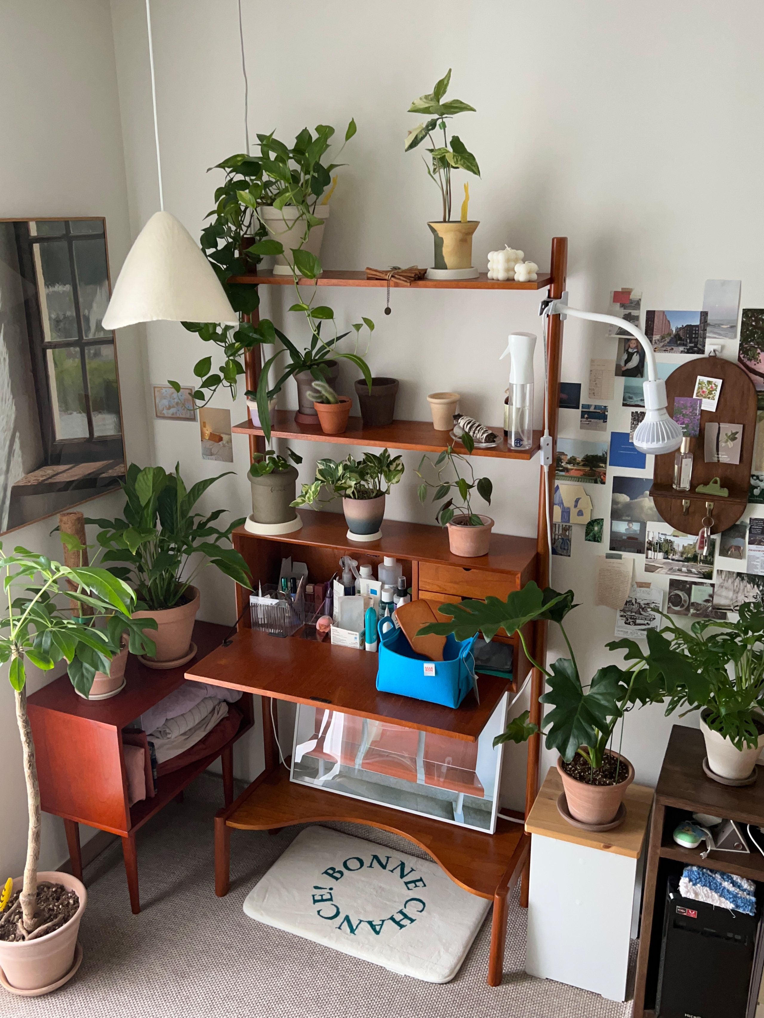 Danish Midcentury Wood Bookcase user photo