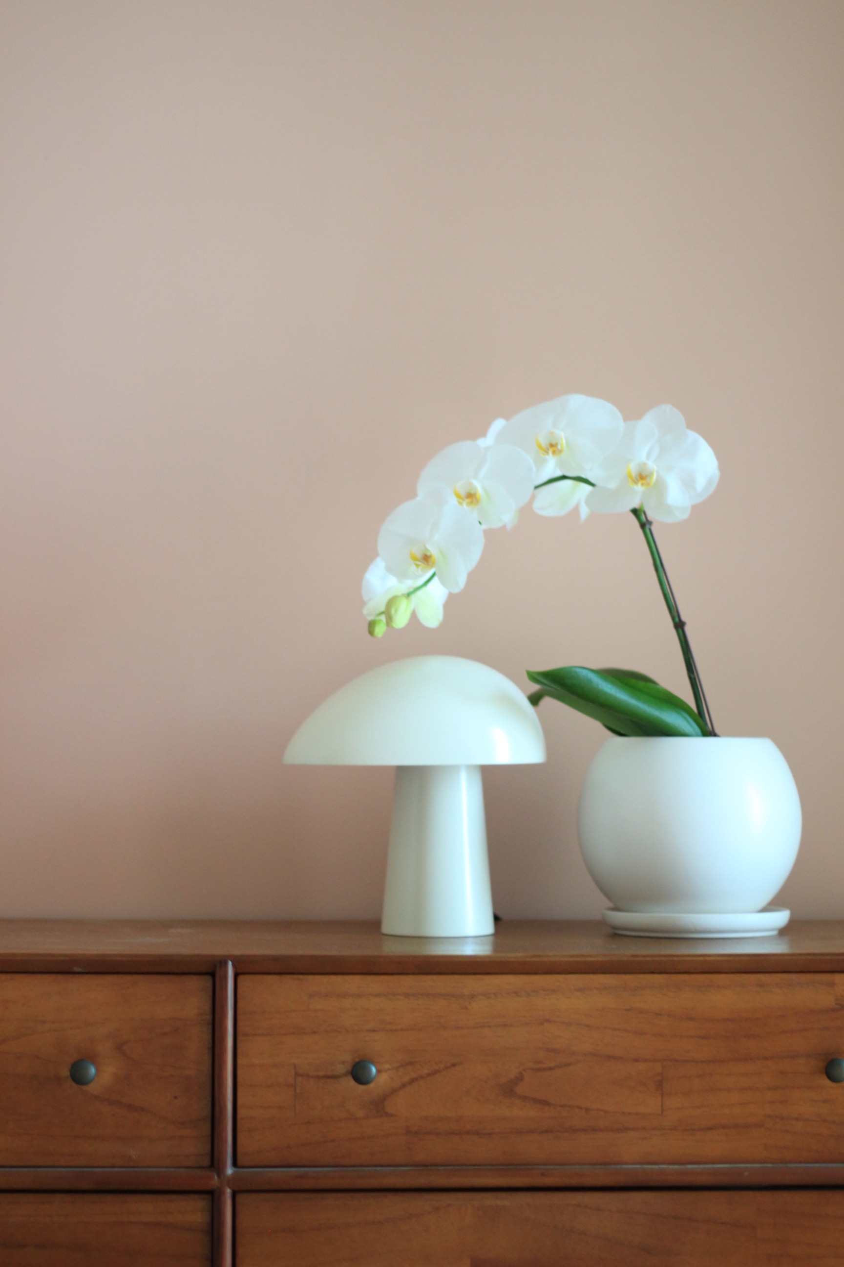 Rounded Moon Vase user photo