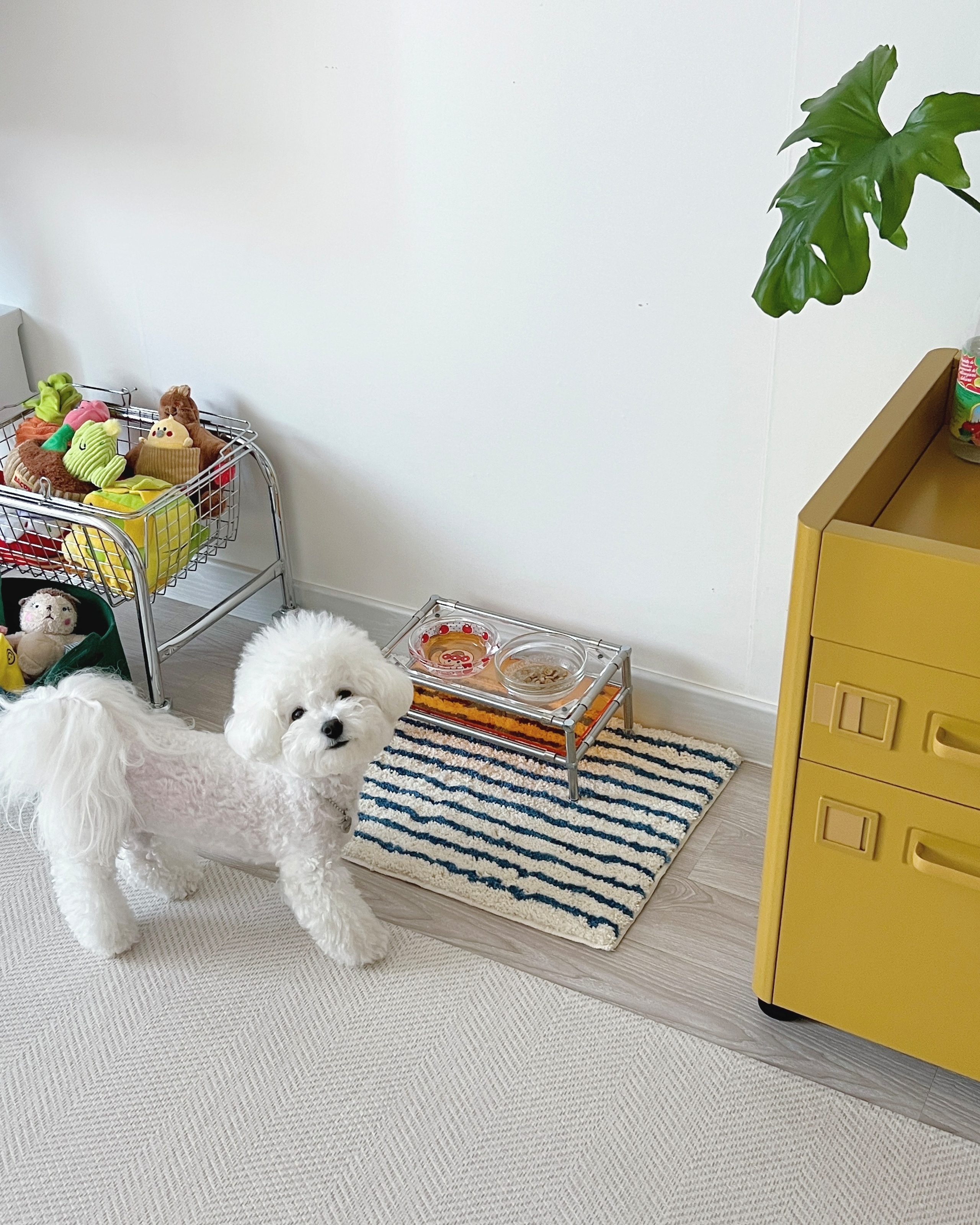 Striped Bath & Kitchen Rug user photo