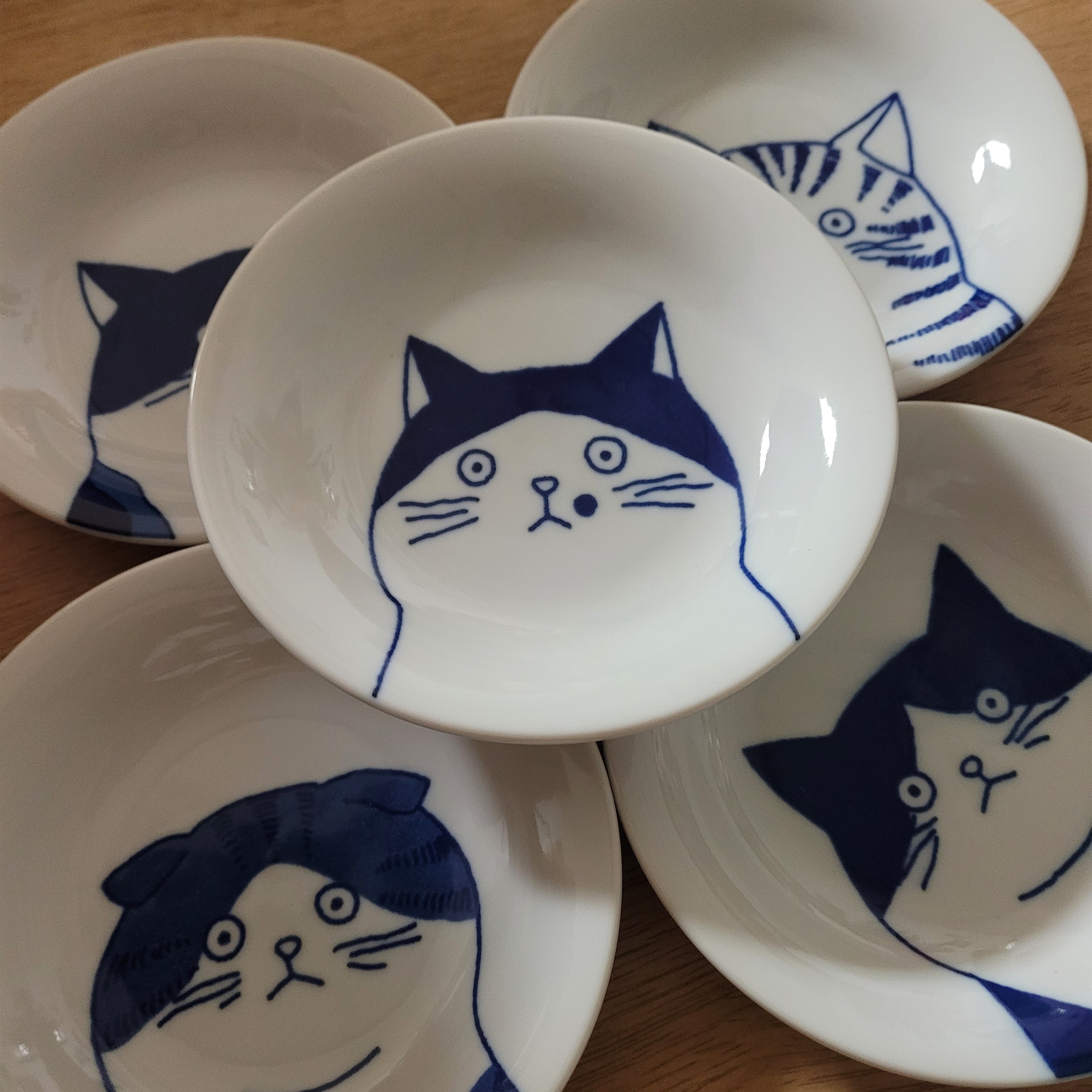 Cat Illustration Porcelain Dish Set – 5 Piece user photo