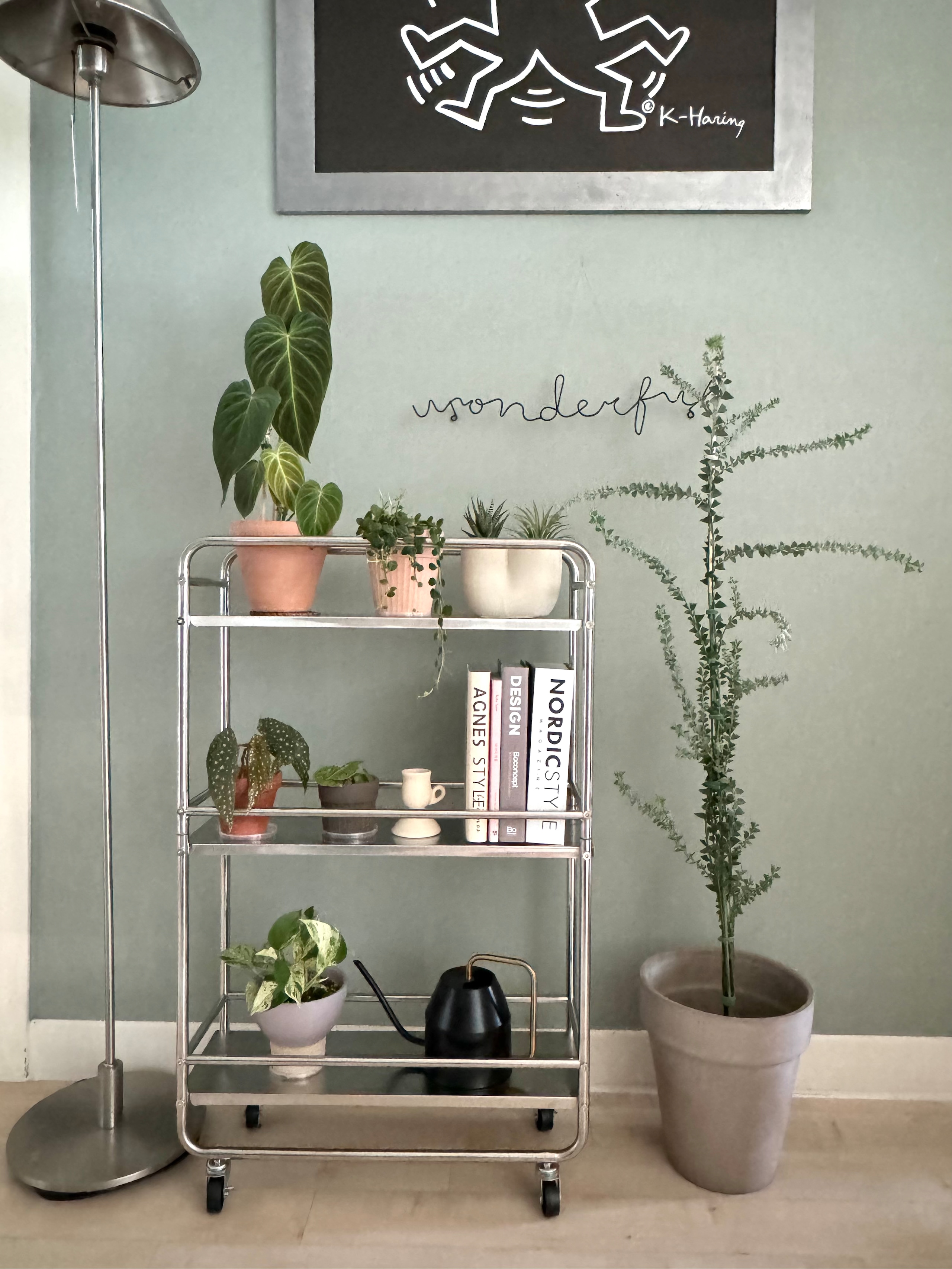 Mid-century Modern Stainless Trolley user photo