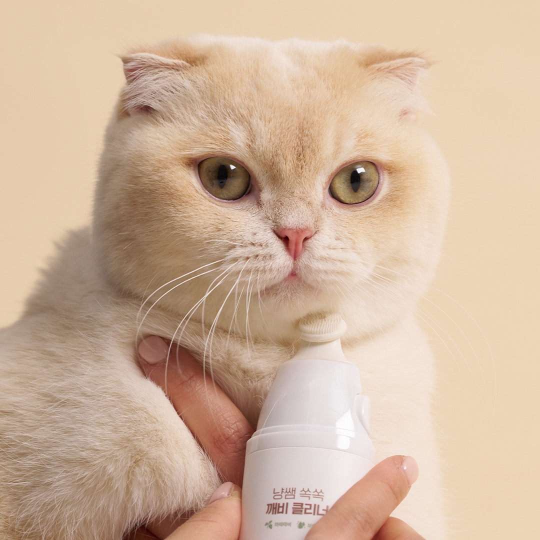 [오늘출발] 핏펫 냥쌤 고양이 턱드름관리 쏙쏙 깨비 클리너 30ml 피지케어 고양이필수템