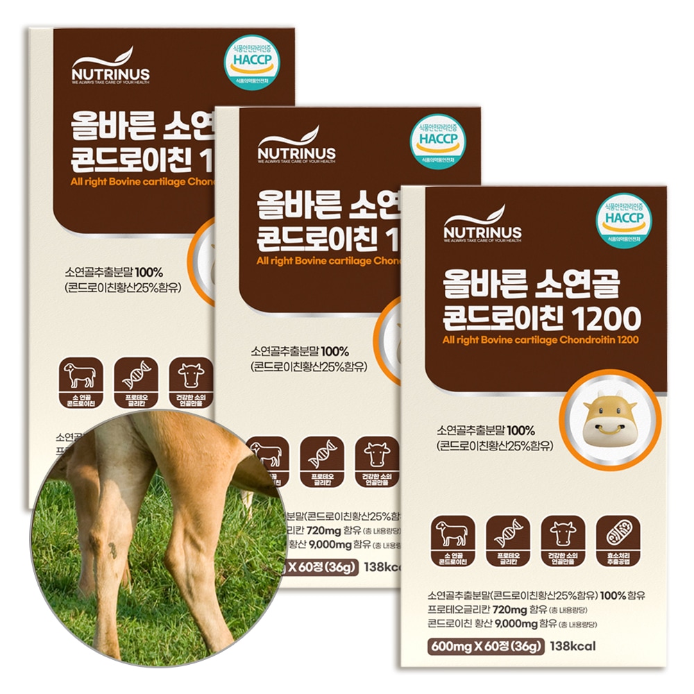 뉴트리너스 올바른 소연골 콘드로이친 1200 60정 3팩