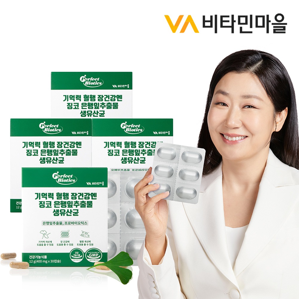 비타민마을 기억력 혈행 장건강엔 징코 은행잎추출물 생유산균 4박스 총120캡슐