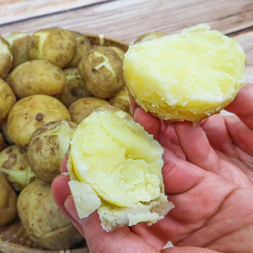 공생장터 산지직송 제주 노지 흙감자 5kg(대/계란정도크기)