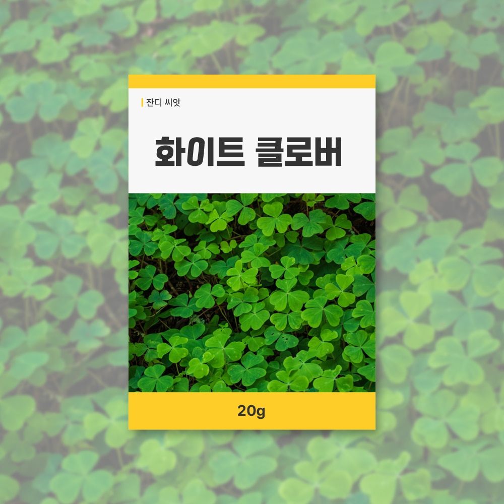데팡스 화이트클로버 씨앗 20g 허브 잔디 씨앗 새싹 키우기