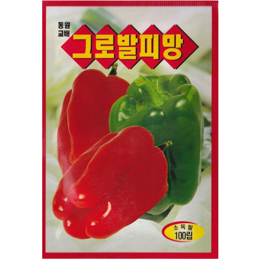 영농사 그로발 피망씨앗 100립