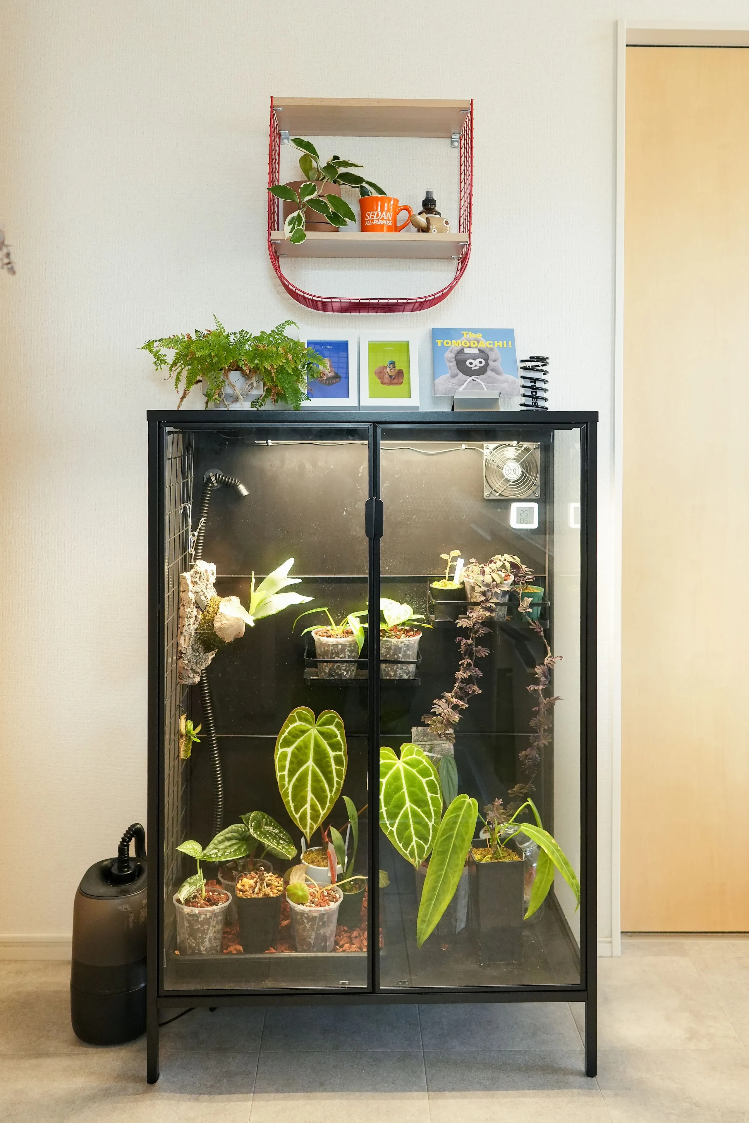IKEA ウォールシェルフ　SVENSHULT スヴェンスフルト　＊新品、未開封 SVENSHULT スヴェンスフルト ウォールシェルフ, グレーグリーン