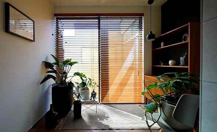 ウッドトーンとグリーンの植物が調和した温かみのある玄関の印象的な空間