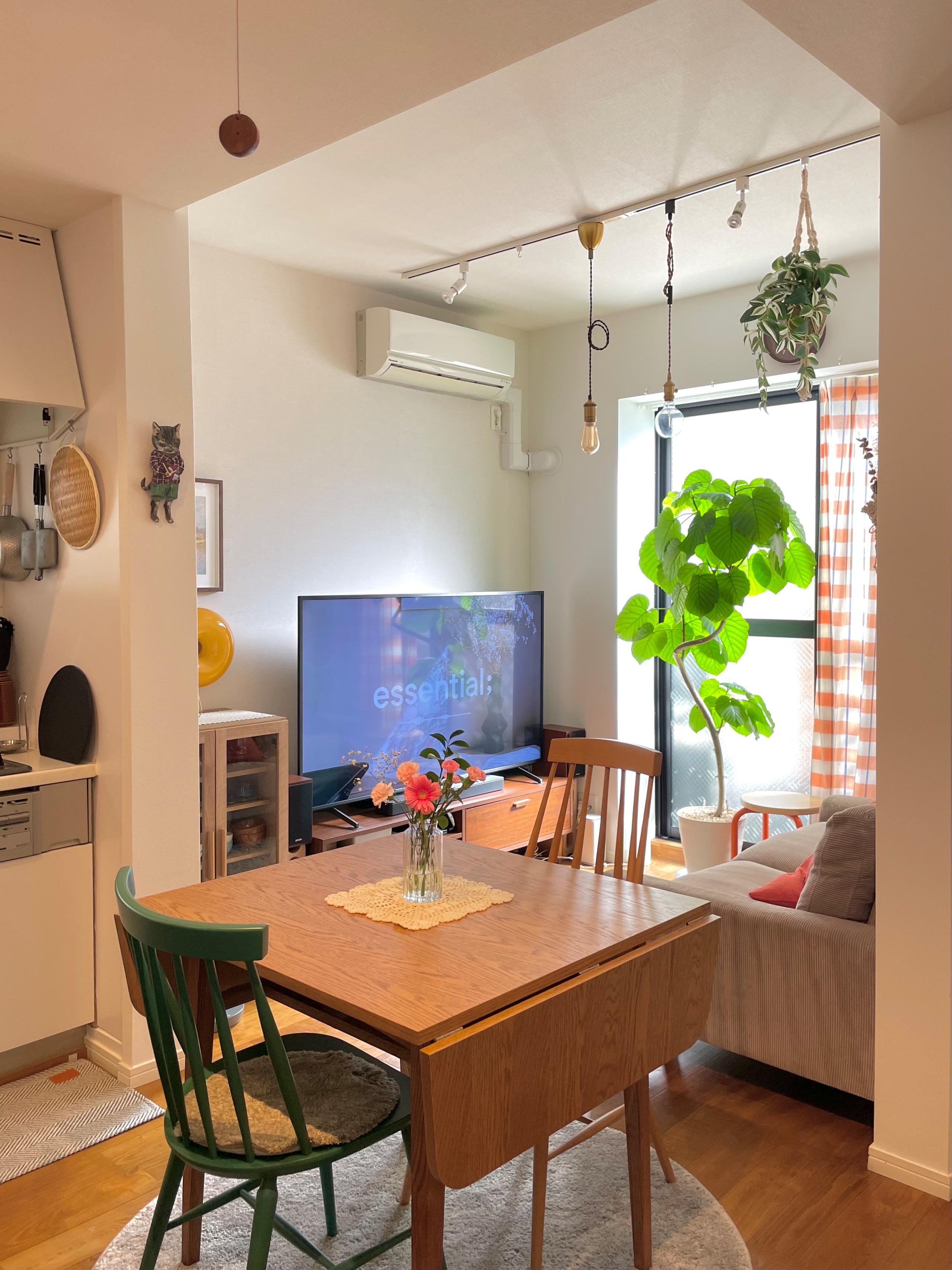 IKEA GLANSHAGTORN グランスハグトルン カーテン 1枚［2色