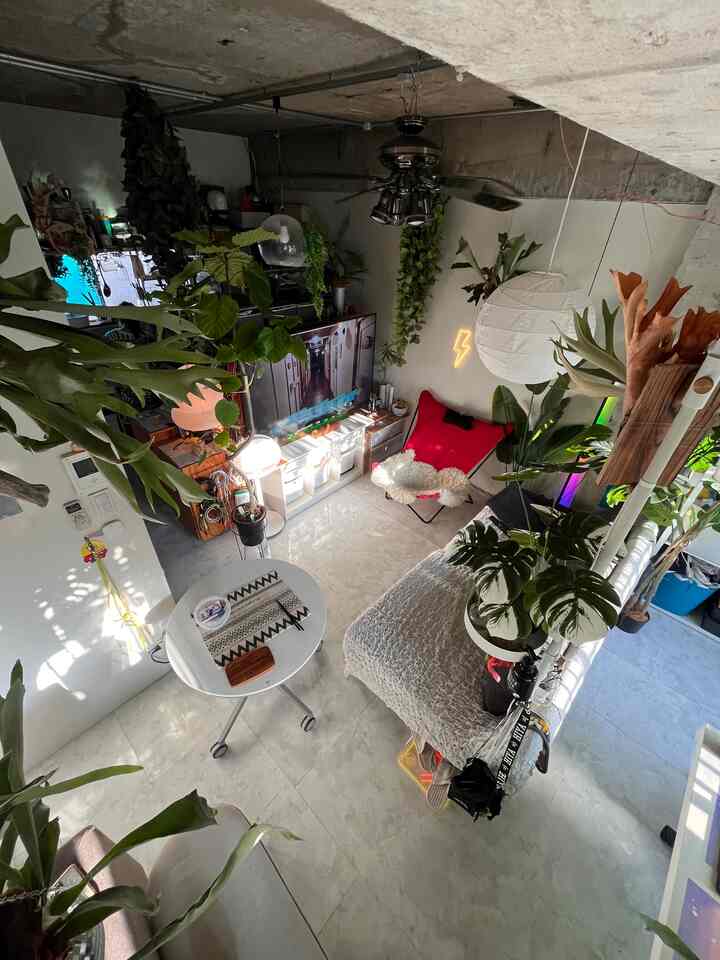 白とナチュラルカラーの狭いリビング、イケアのソファと大きなディスプレイ、植物が配された雰囲気あるインテリア