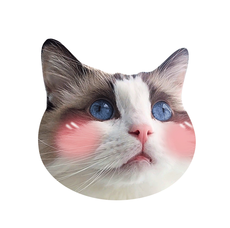 아바타 사진