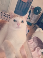 서니지롱님의 프로필 이미지