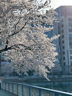 고구마와사이다조아님의 프로필 이미지