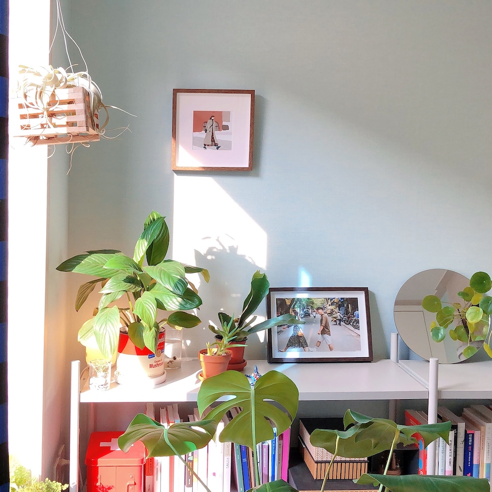 EP.2 식물이 좋아하는 집, 오늘의집 고수들의 꿀팁 | 라이프스타일 슈퍼앱, 오늘의집