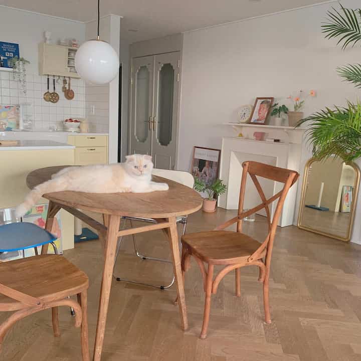 ウッドトーンとイエローが調和したダイニングルームとキッチン、食卓の上に猫が横たわる落ち着いた空間