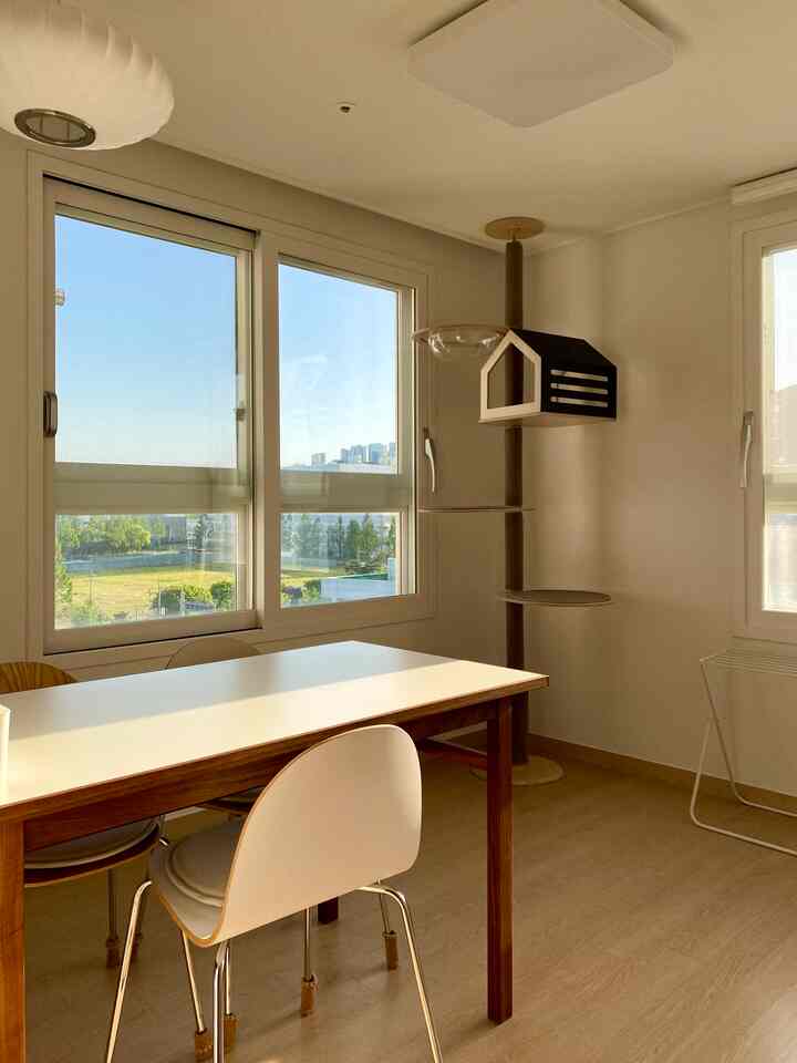 Natural-toned dining room featuring white dining table and wood-tone cat pole with cozy and bright atmosphere