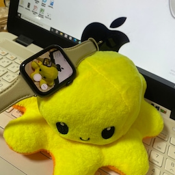 노트북 위에서 문어인형과 애플워치SE의 만남 
작고 소중해~