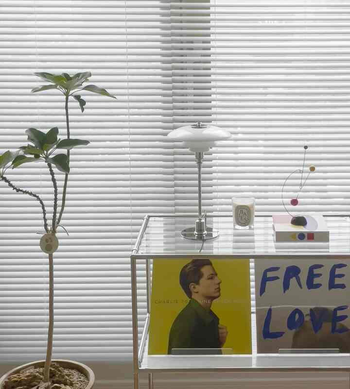 A white blinds background workspace featuring a modular shelf with transparent glass top, table lamp, and tall potted plant on the left, creating a clean home office atmosphere
