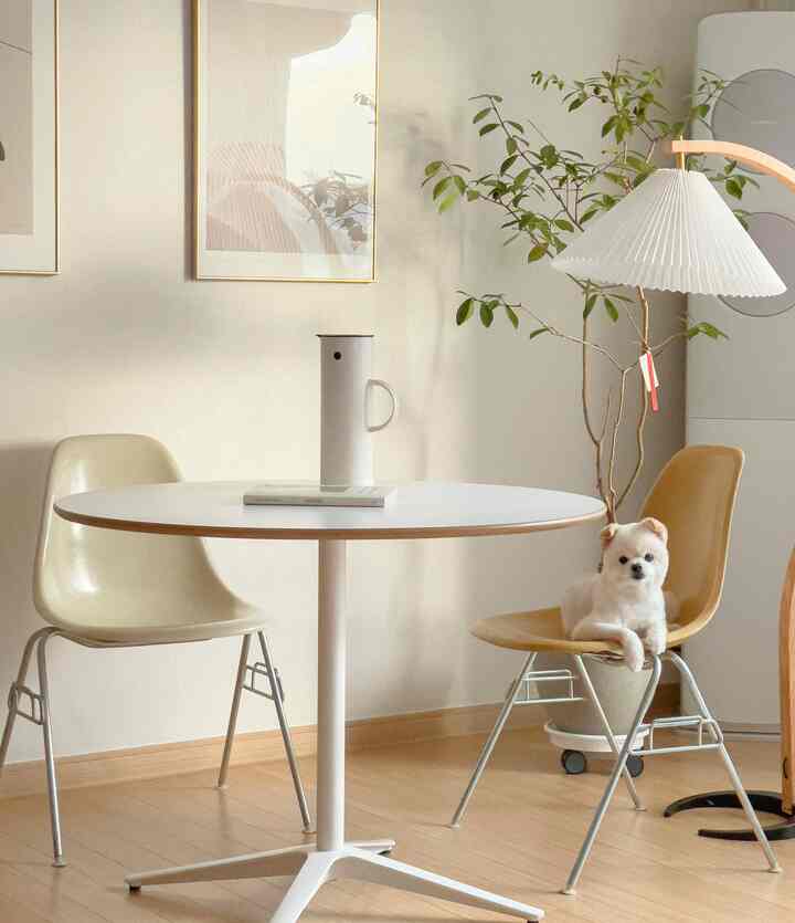 White and wood tone living room featuring a round table, two chairs with a small dog sitting on one, and a pleated floor lamp creating a warm atmosphere