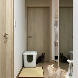 고단한 하루를 보내고 집에 들어오면
쪼르르 달려나와 반겨 줍니다.
요새는 잘 안나오는건 기분탓이겠지요.