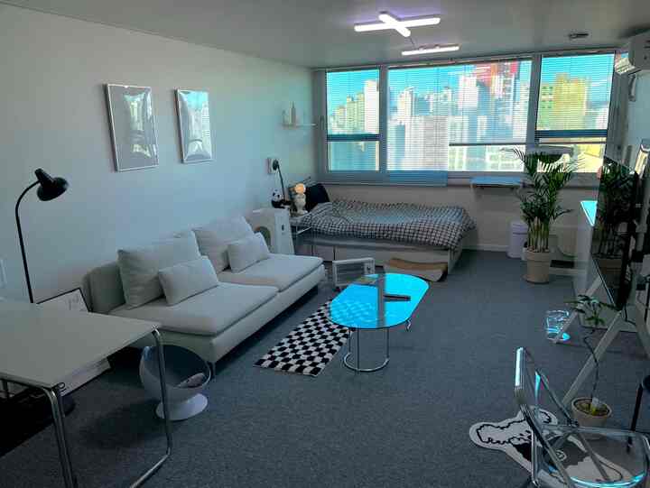 A modern studio apartment with white and black tones, featuring sleek furniture, carpet tile flooring, cat scratching posts, and plants in a tidy layout