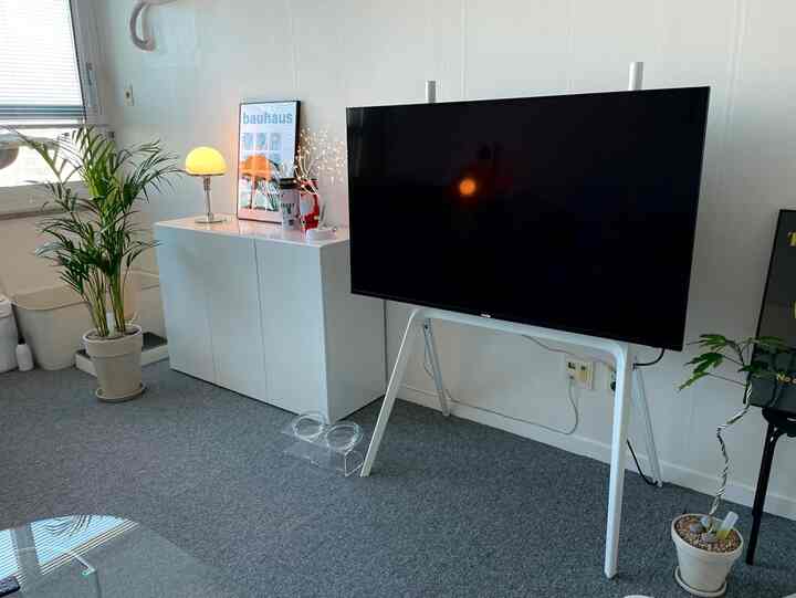 White-toned living room featuring a modern TV stand, cabinet, and plants in a clean and organized space