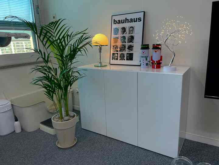 Bright white studio apartment cabinet area featuring a large Areca palm and a warm table lamp, creating a clean modern atmosphere