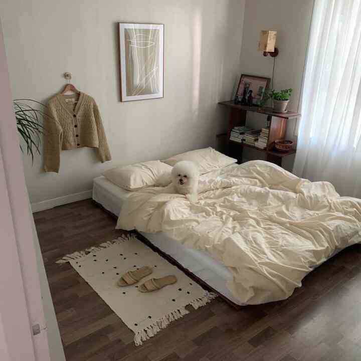 クリーム色と木目調が調和した落ち着いた寝室、中央のベッドに小さな犬が座り、自然光が差し込む雰囲気のあるインテリア