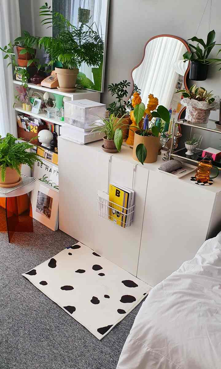 ナチュラルな雰囲気のワンルーム寝室、収納棚の上に多様な植物が配置された落ち着いた空間