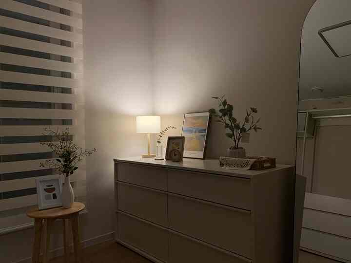 White and wood tone walk-in closet featuring a system hanger, storage drawers, full-length mirror, and table lamp with cozy ambiance