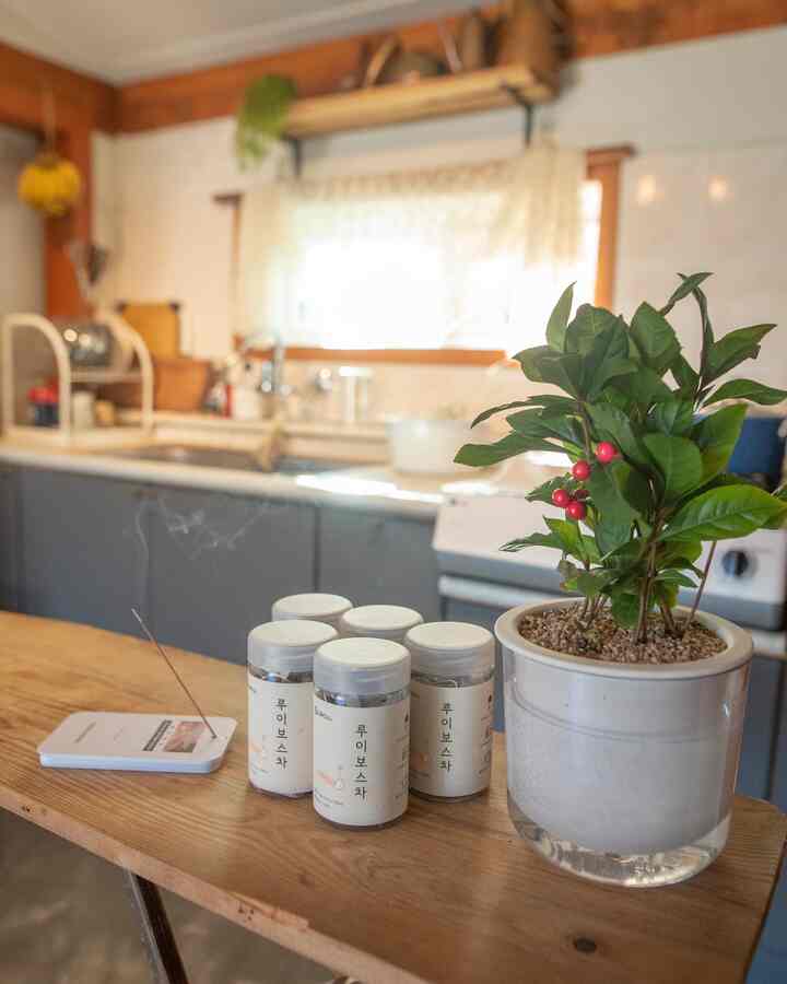 Natural wood tones and whites blend in a kitchen featuring a potted plant and incense sticks, creating a warm vintage atmosphere