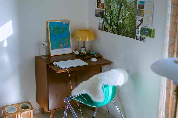 Natural wood-tone compact home office featuring a laptop, yellow table lamp, and dog food bowls in a cozy workspace