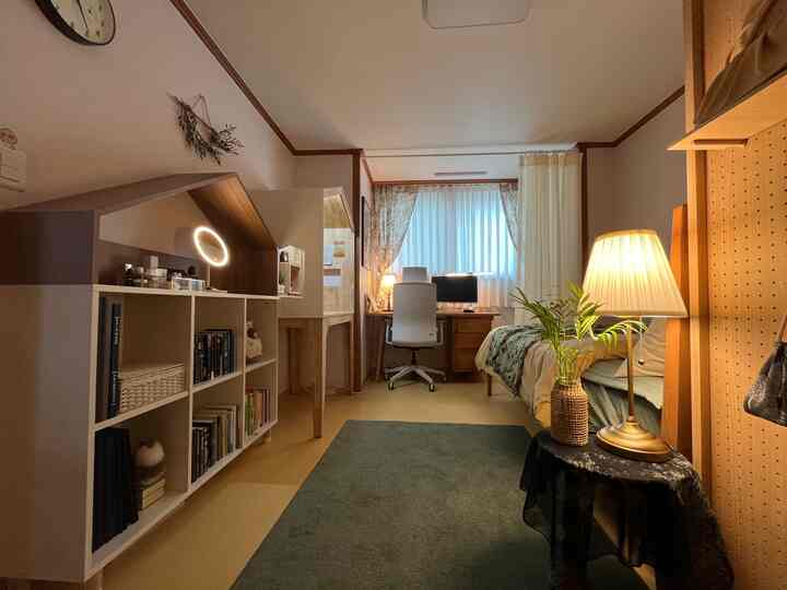 Natural modern toned 6-jou bedroom featuring desk, office chair, curtains, and carpet creating a cozy remote work space