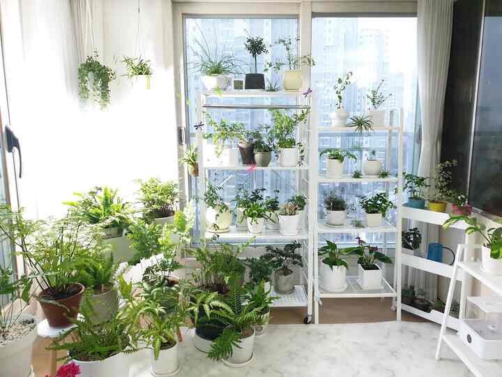 白と緑の調和が美しいリビングの一角に植物が並ぶ、明るくて自然な雰囲気のあるインテリア