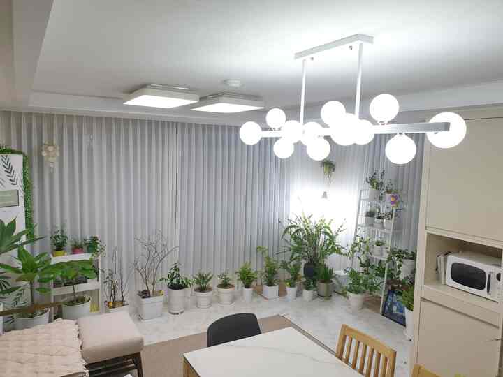 Bright white-toned living room featuring a variety of potted plants along the wall and modern pendant lighting installed centrally on the ceiling with a natural modern style