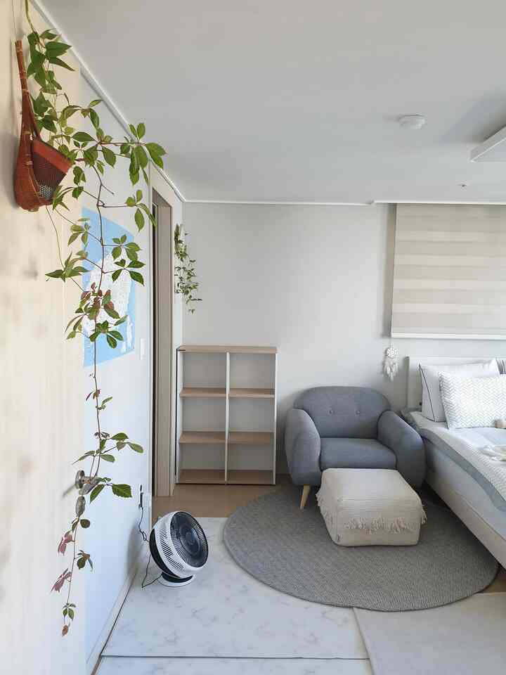 Gray and white toned bedroom-living space featuring a gray armchair, round rug, and indoor hanging plant in minimal setting