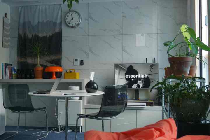 A modern studio apartment in gray and white tones featuring transparent chairs, a round table, and numerous plants