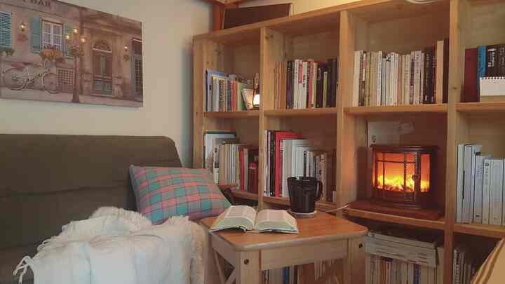 Cozy living room with warm wood-tone bookshelves, sofa, and coffee table