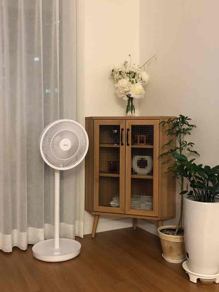 白い壁とカーテン、木製のコーナー収納家具に花瓶と植物が配置された雰囲気のあるリビングコーナー