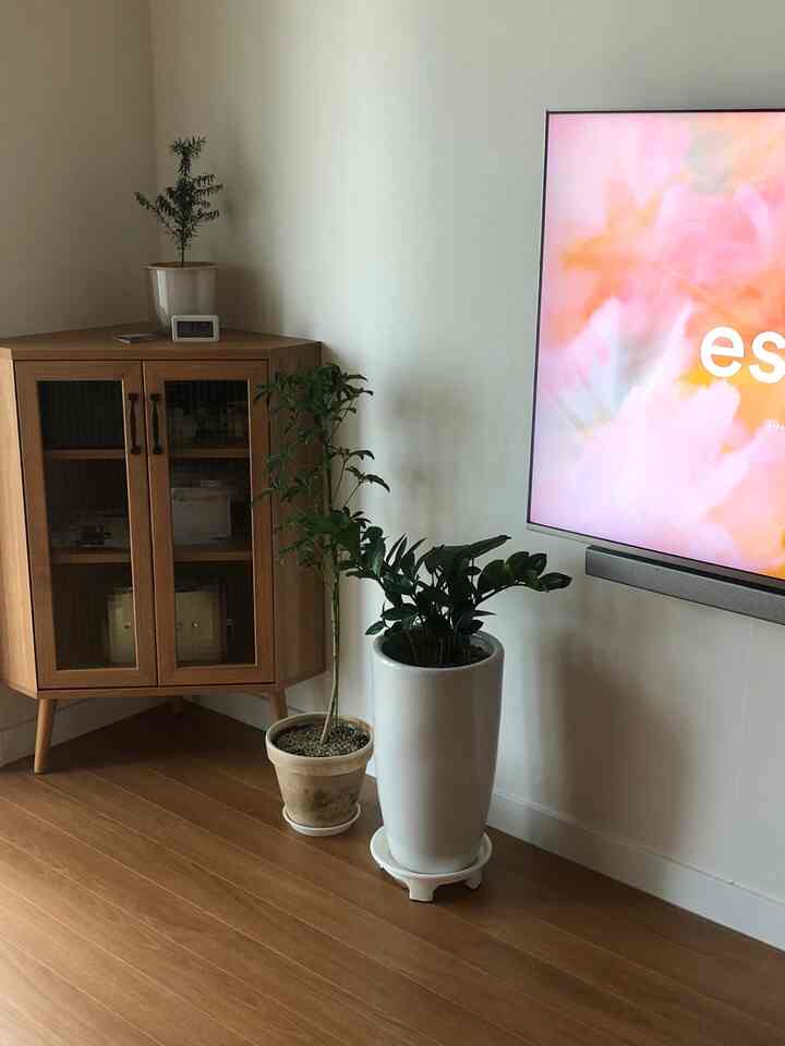 Simple and modern living room corner with white walls and wood-tone corner cabinet, featuring air-purifying plants in large white pots