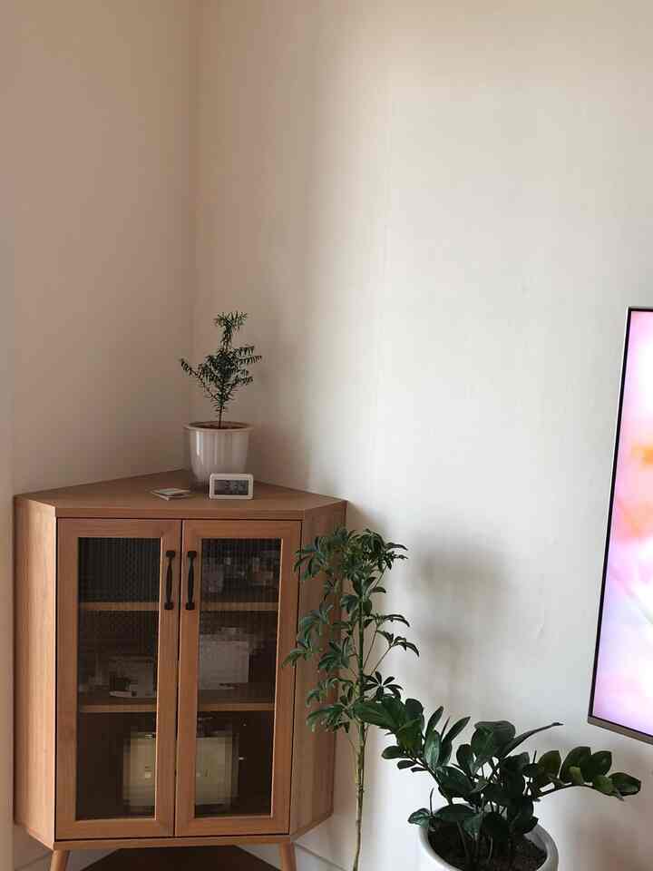Living room corner with white walls and wood-tone corner cabinet, featuring various green plants creating a natural atmosphere