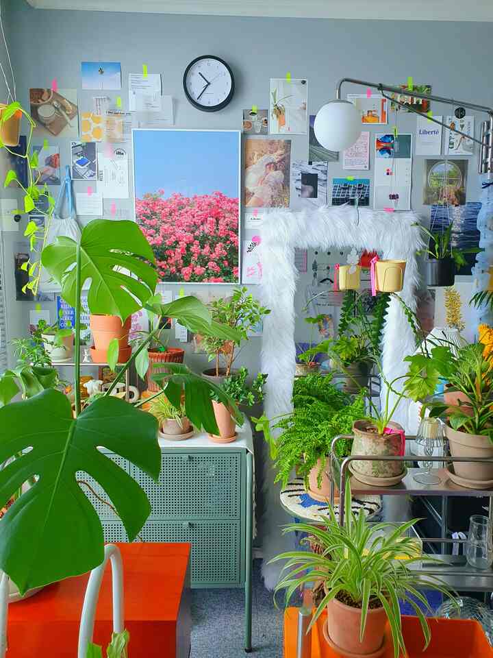 A vibrant studio apartment filled with green plants in pots, featuring walls covered with various posters and photos creating a natural ambiance