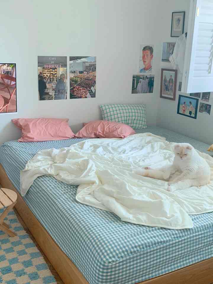 Natural bedroom with white walls and blue checkered bed, featuring posters and a relaxed cat creating a cozy atmosphere
