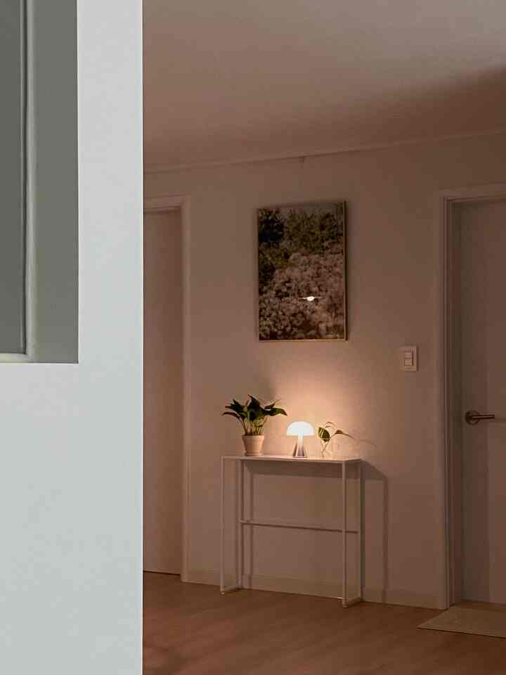 白い壁と木目調の床の玄関の間にある狭いスペース、スリムな鉄製コンソールと植物、LEDマッシュルームランプが配置された雰囲気のある空間