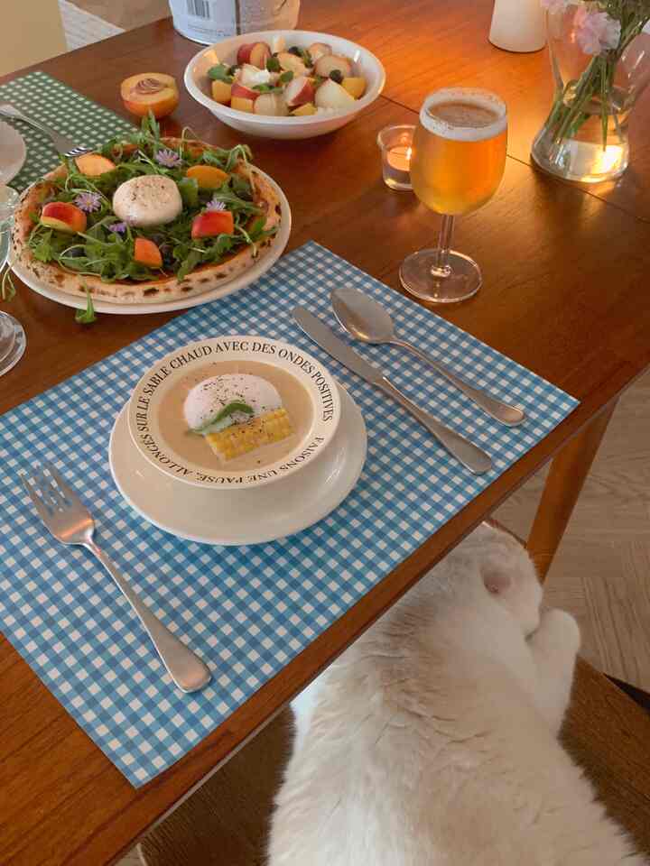 Warm brown-toned dining room with a natural setting featuring pizza, soup, beer glass, and a vase on the dining table