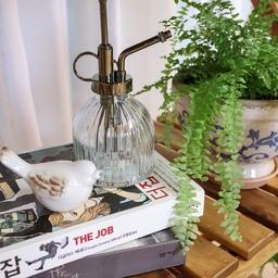 고사리 식물들을 소개해요🌿
저희집은 아파트 저층이라서 햇빛이 들어오는 시간이 짧아요.
그래서 자연스럽게 반음지 식물들을 많이 키우게 됐어요.
까다롭지 않고 순둥순둥 잘 자라는 고사리 친구들을 소개할께요!