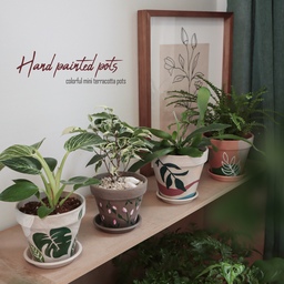 아크릴 물감으로 토분에 그림 그리기🌿
독일토분과 다이소 아크릴물감으로 화분에 그림을 그려봤어요.
요즘 예쁜 토분들이 정말 많은데 대부분 수제품이기 때문에 만만치 않은 가격에 살짝 부담스럽기도 해요 ര ‿ ര  그리고 이렇게 그림이 그려져 있는 토분은 아직까지 잘 보지 못했어요! 나만의 식멍 공간을 겔러리처럼 꾸미고 싶으시다면 화분에 그림 그리는 것을 추천합니다!